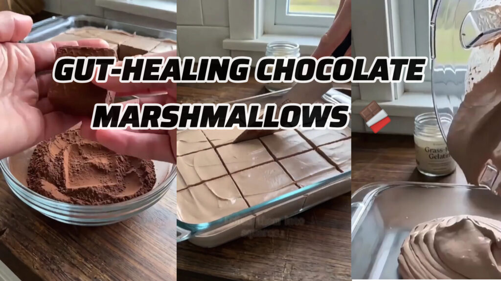 3-ingredient Gut-Healing Chocolate Marshmallows